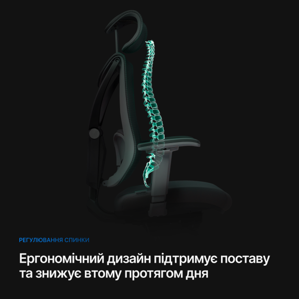 Кресло ADAPWORK S1 Senior ErgoChair Deep Black (1061485435) в Киеве