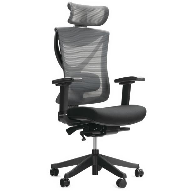 Кресло ADAPWORK S1 Senior ErgoChair Deep Black (1061485435) kupistul