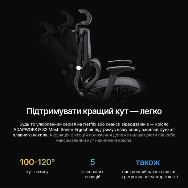 Кресло ADAPWORK S2 Mesh Senior ErgoChair Alpine Grey (1061485437) с доставкой