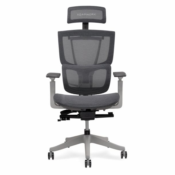 Кресло ADAPWORK S2 Mesh Senior ErgoChair Alpine Grey (1061485437) в Киеве