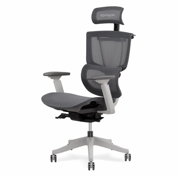 Кресло ADAPWORK S2 Mesh Senior ErgoChair Alpine Grey (1061485437) недорого