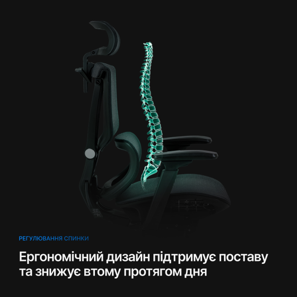 Кресло ADAPWORK S2 Mesh Senior ErgoChair Deep Black (1061485438) kupistul