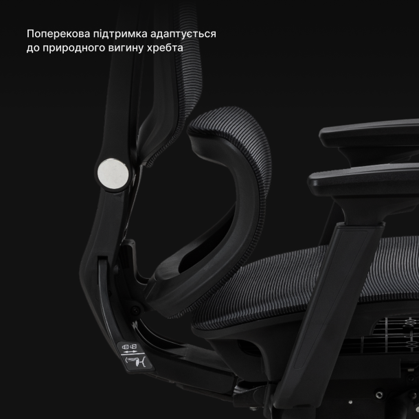 Кресло ADAPWORK S2 Mesh Senior ErgoChair Deep Black (1061485438) купить