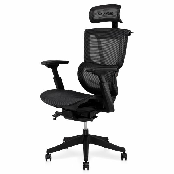 Кресло ADAPWORK S2 Mesh Senior ErgoChair Deep Black (1061485438) дешево