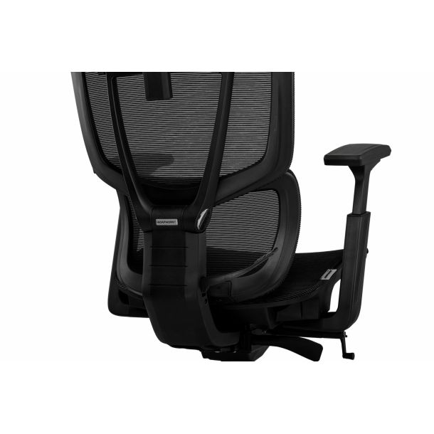 Кресло ADAPWORK S2 Mesh Senior ErgoChair Deep Black (1061485438) в Украине