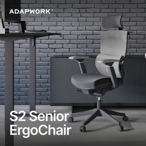 Кресло ADAPWORK S2 Senior ErgoChair Alpine Grey (1061485444) в интернет-магазине