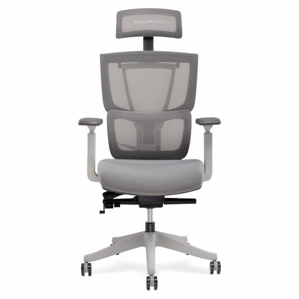 Кресло ADAPWORK S2 Senior ErgoChair Alpine Grey (1061485444) в Киеве