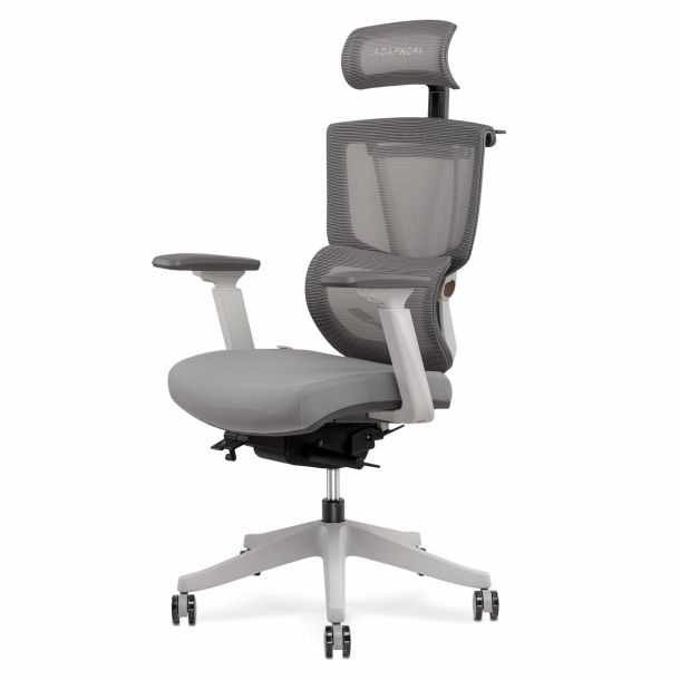 Кресло ADAPWORK S2 Senior ErgoChair Alpine Grey (1061485444) недорого
