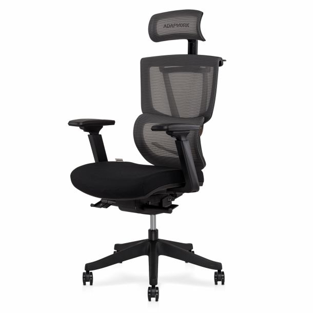 Кресло ADAPWORK S2 Senior ErgoChair Deep Black (1061485443) недорого