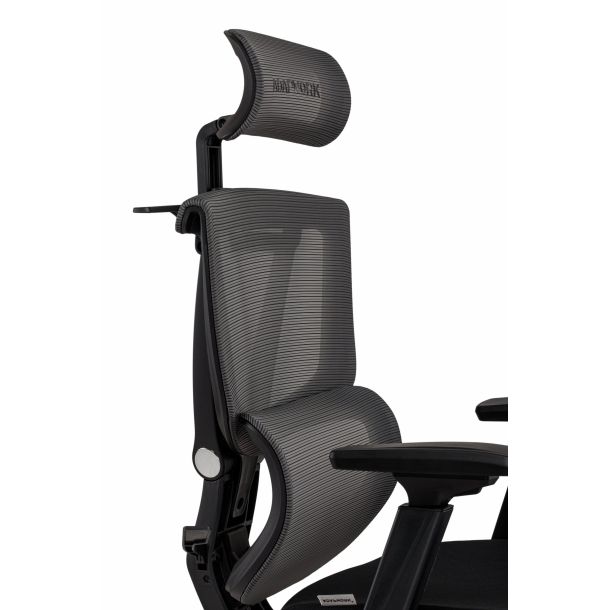 Кресло ADAPWORK S2 Senior ErgoChair Deep Black (1061485443) в Украине