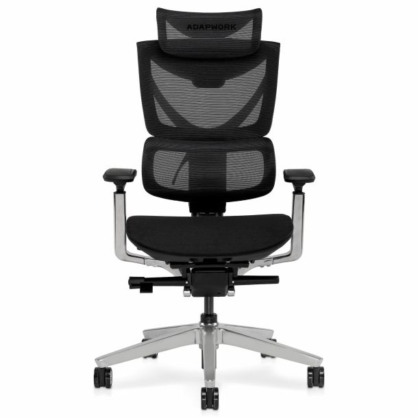 Крісло ADAPWORK S3 Pro Senior ErgoChair Platinum Grafite Black (1061485428) в Киеве