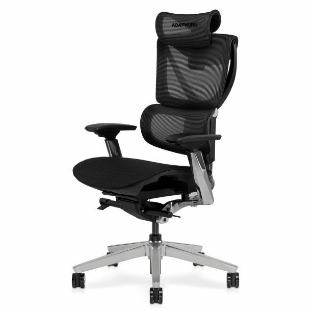 Крісло ADAPWORK S3 Pro Senior ErgoChair Platinum Grafite Black (1061485428) недорого