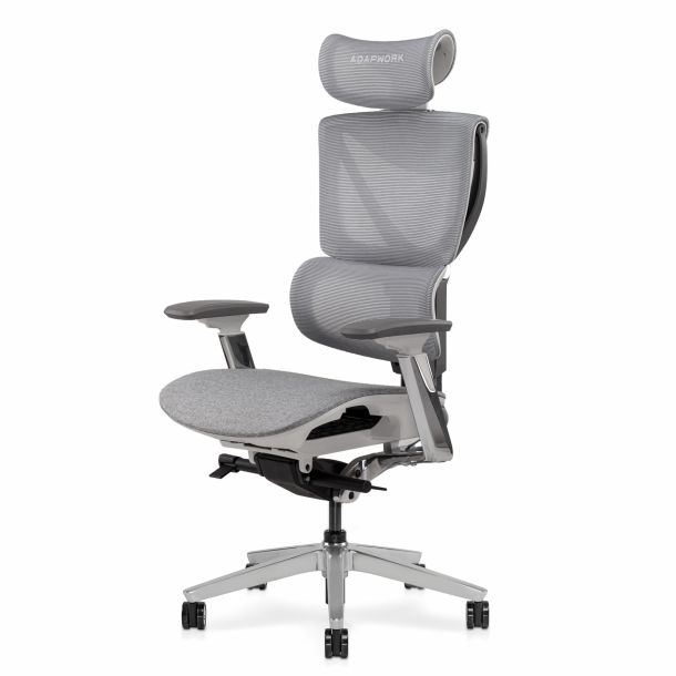 Крісло ADAPWORK S3 Pro Senior ErgoChair Platinum Smoky Grey (1061485429) недорого