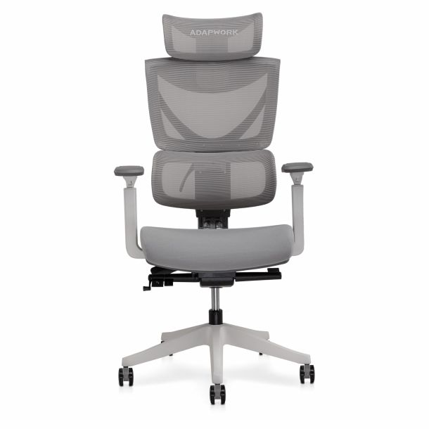 Кресло ADAPWORK S3 Senior ErgoChair Alpine Grey (1061485423) в Киеве
