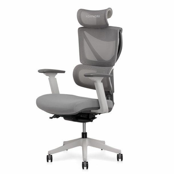 Кресло ADAPWORK S3 Senior ErgoChair Alpine Grey (1061485423) недорого
