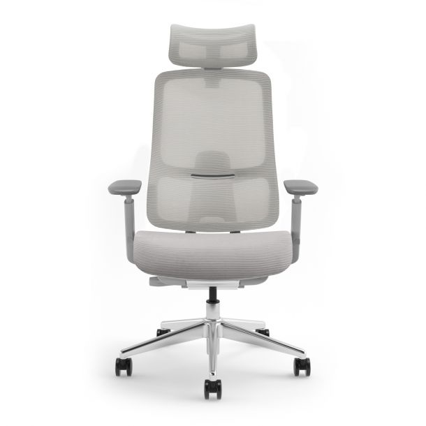 Кресло ADAPWORK S4 Mesh Senior ErgoChair Alpine Grey (1061023934) с доставкой