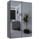 Шкаф купе G-Caiser 2 Зеркала / 3 части 160х60х240 Графит