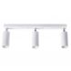 Спот Chime L110-3 White