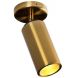 Спот Varsovia Brass