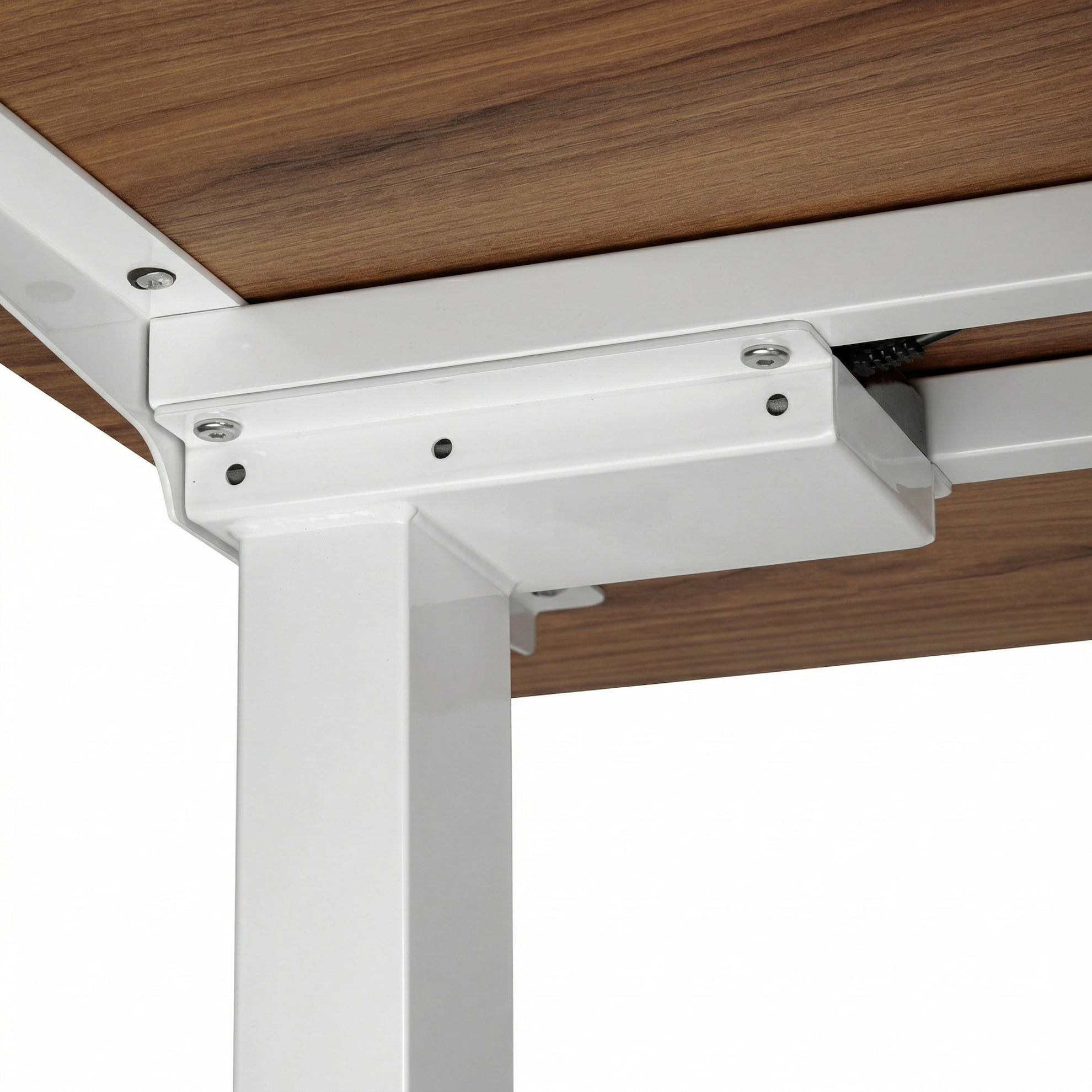Регулируемый стол ADAPWORK Smart 2 Motor AdapDesk 138х68 18мм Golden Wood, Snow White (1061489101) в Киеве