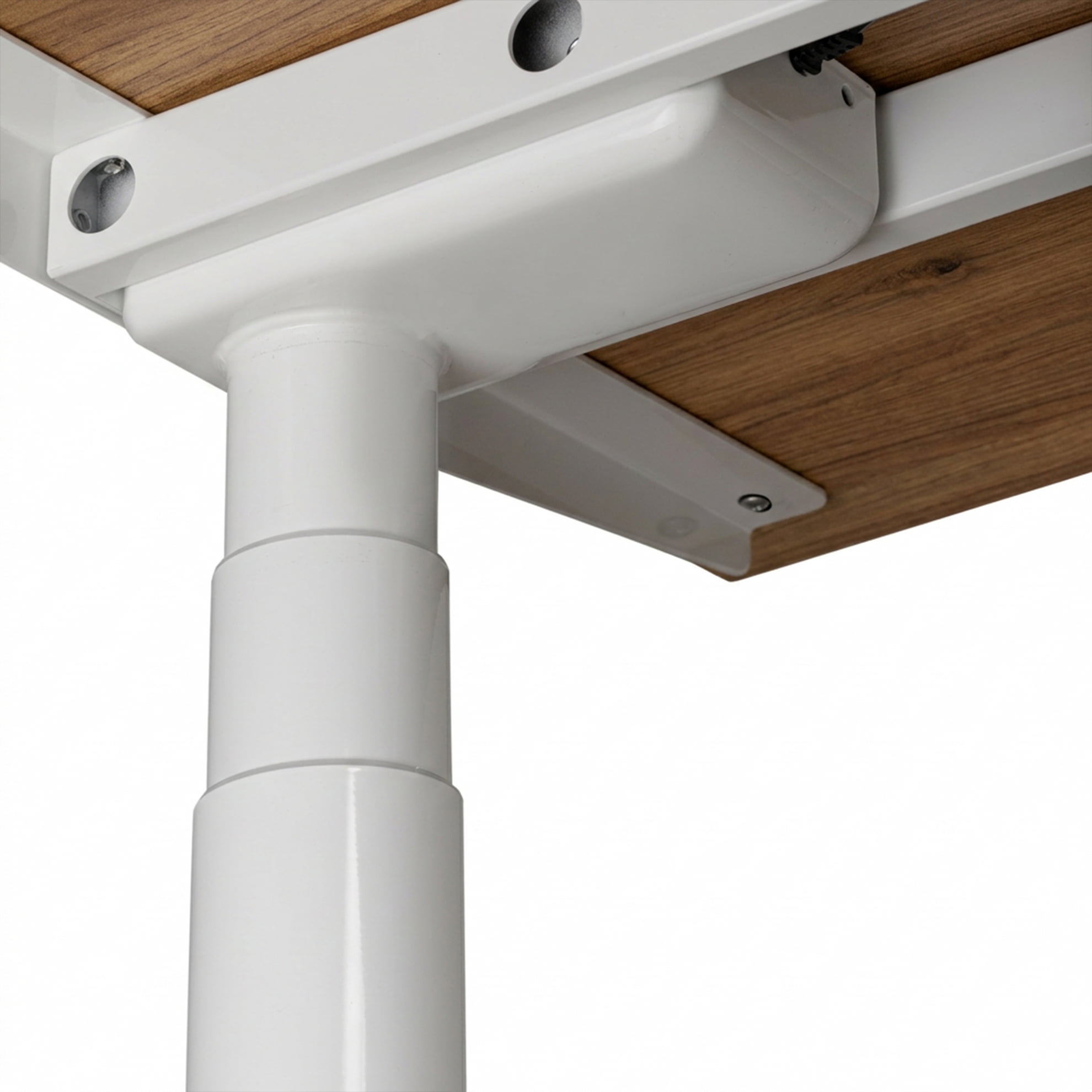 Регульований стіл ADAPWORK Smart 2 Motor Pro Speed AdapDesk 136х66 36мм Golden Wood, Snow White (1061488904) в Киеве