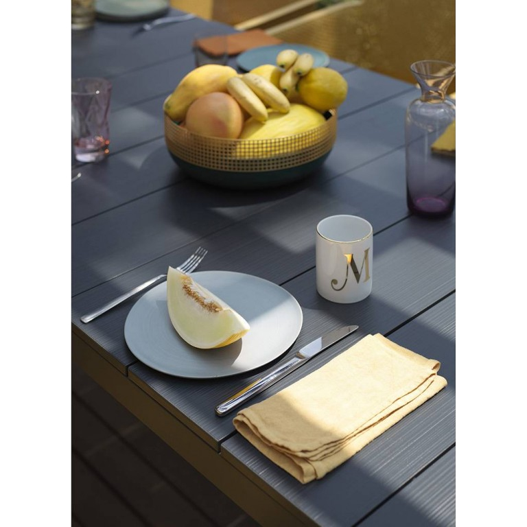 Стіл Rio Alu 210x100 Antracite (13523157) в Киеве